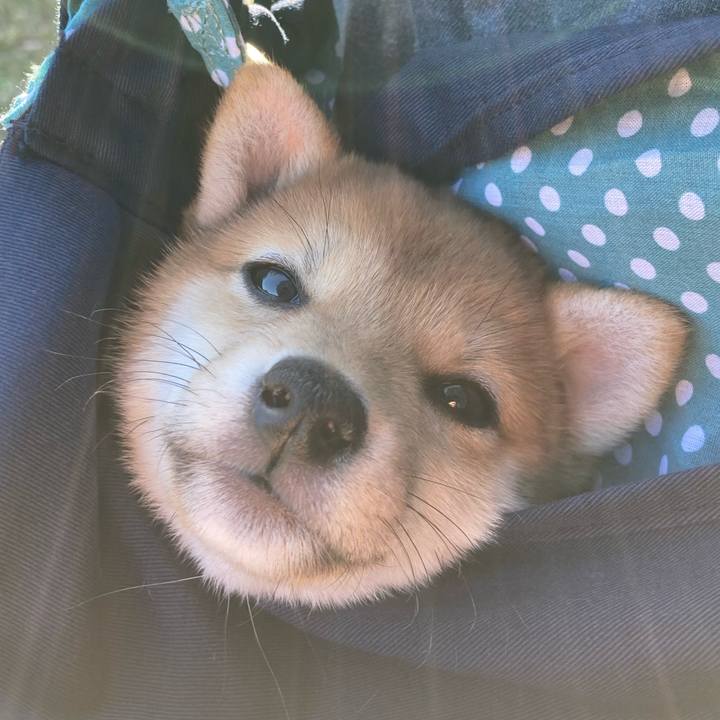 89f89eea befd 44a9 933b e466b1b47c35 1638617320572