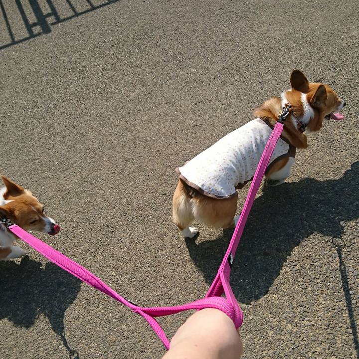 89f917a3 77d1 417d 921e 406b6be277dd 1524358298768