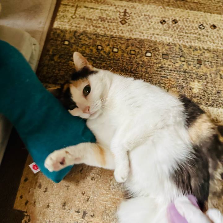 89f91d06 07bd 4053 8c4b 20f3859d5d00 1710381252585