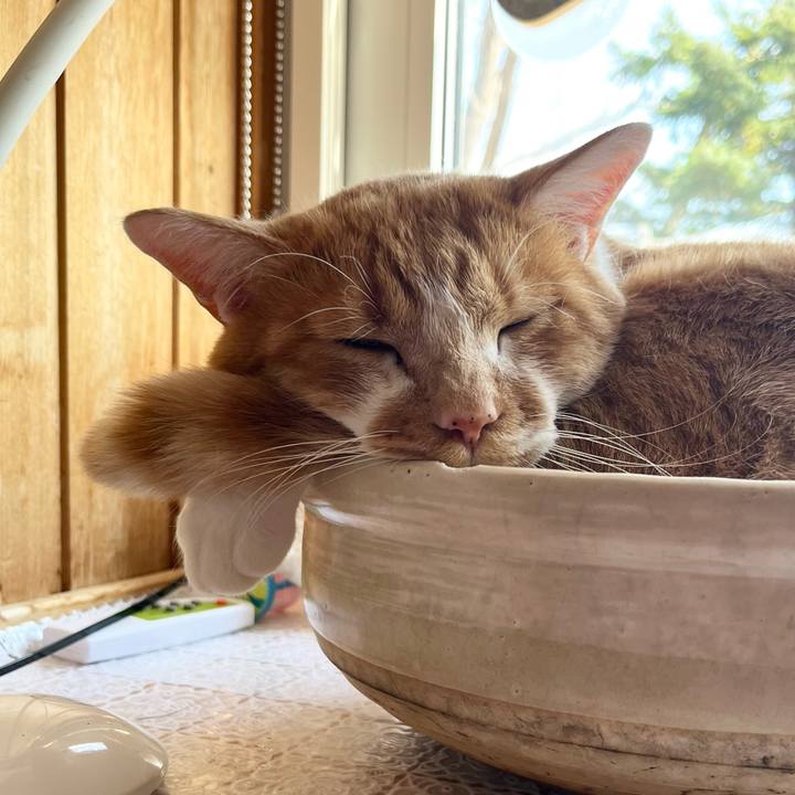 89f95862 0fea 4f9f b97a c93f04ce8250 1744516491110