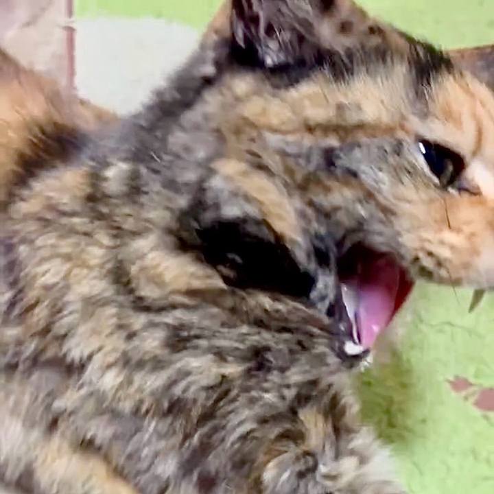 89f9839a 3de2 41e0 a399 ffb30d379df9 1746821941380