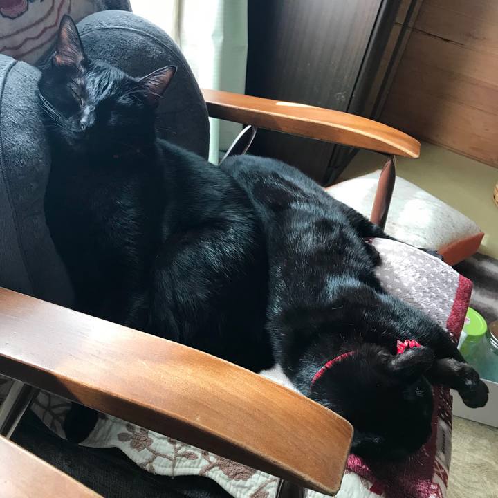 89f9a9a4 f0eb 4de7 ab51 f9eb2844862f 1542246794333