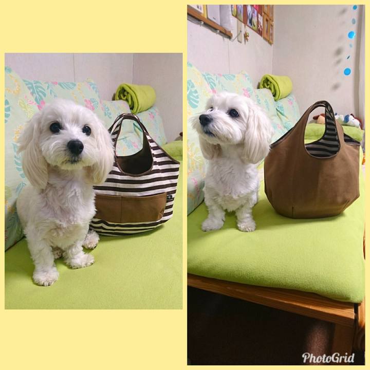 89f9c8f2 93db 4de0 911c 787158505a04 1512026465046