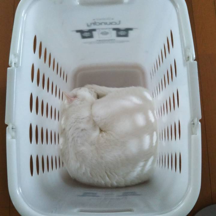 89f9c967 d748 44e8 bd88 3a1e465539a0 1567236215101