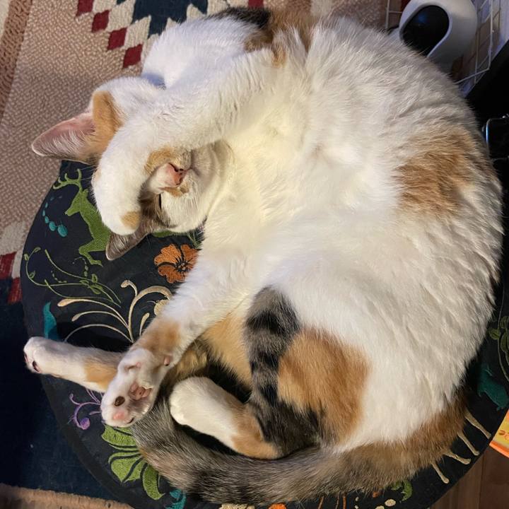 89f9cd2c c1bf 4dda a5d2 71b6dc5623c4 1726413128879