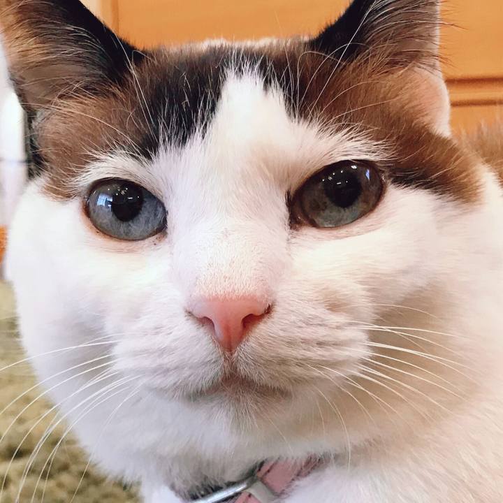 89f9d11e 7bb1 4ccb acfb b75621ec6d44 1519132302254