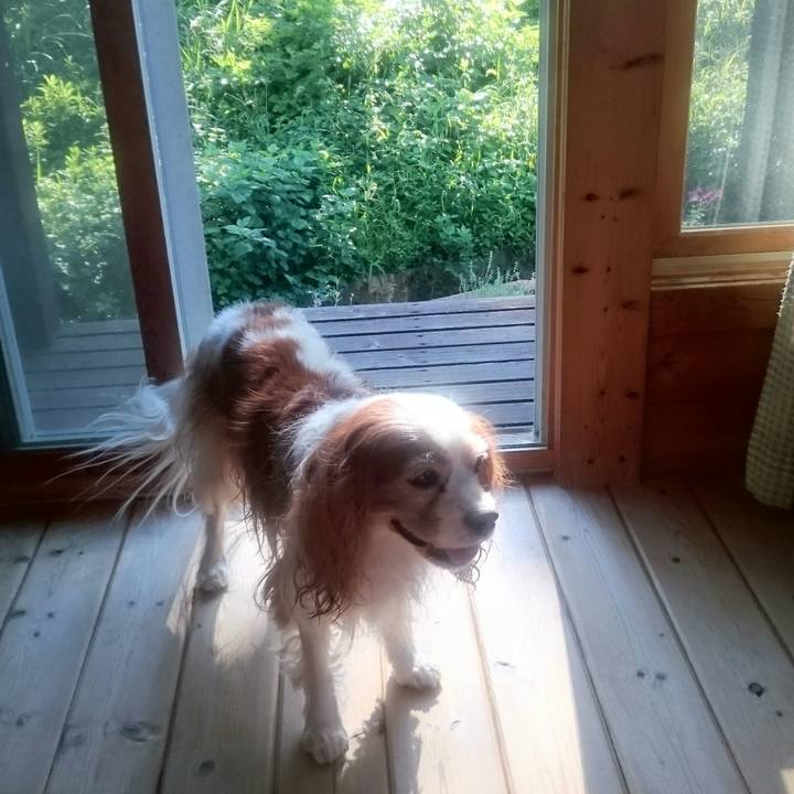 89f9d33e ce93 41f3 9583 b473dcac208f 1567897013774