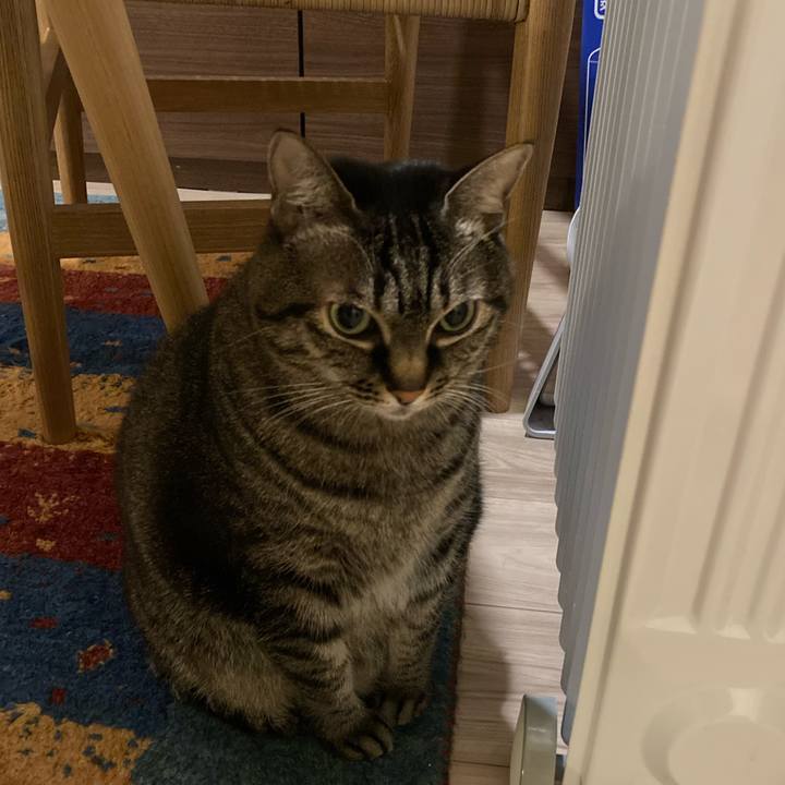 89f9d37a 5de5 4a7b aa37 92fb711583e7 1672834954277