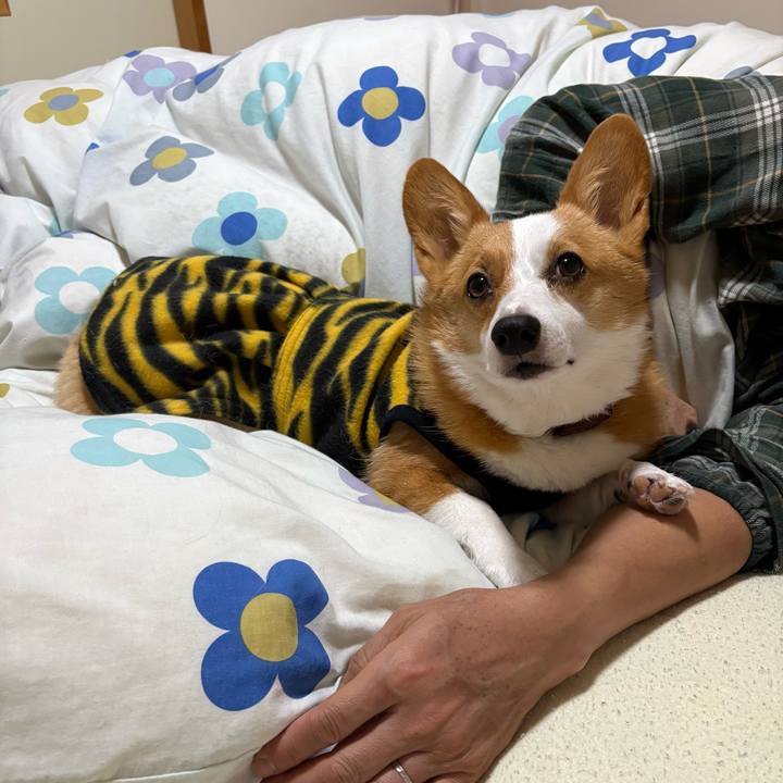 89f9d4ef a779 4133 ab1d 8edd45cc538c 1770413861146