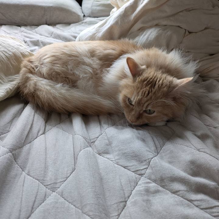 89f9f424 b32d 49ce 9d34 fcb1d6d5d853 1747284138079