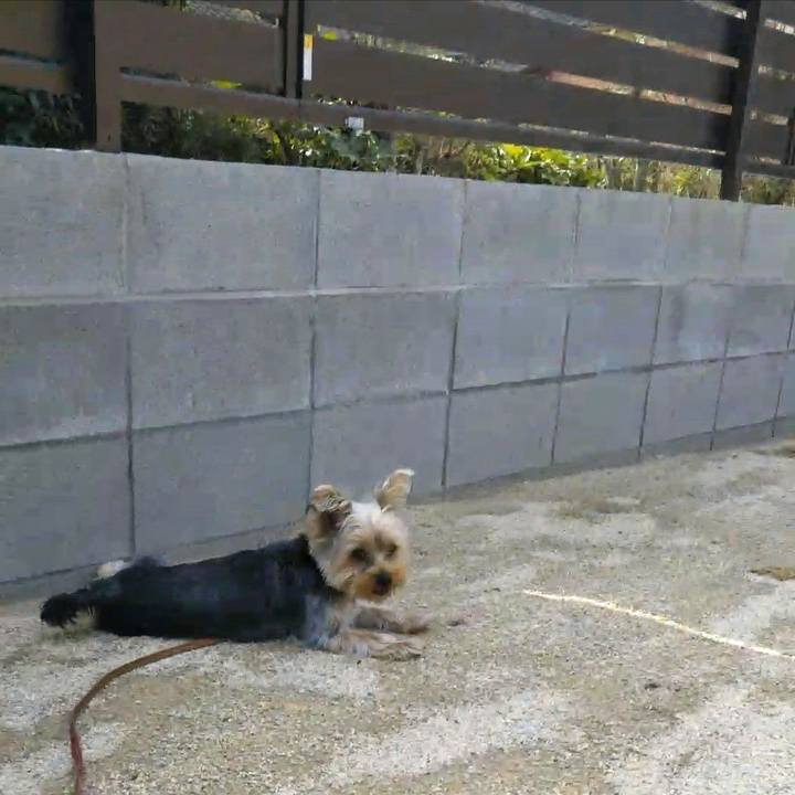 89f9fb1d d1f6 4b89 aa52 088e9fd5c4f1 1553829962196