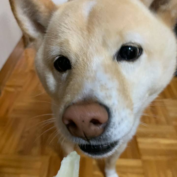 89fa1fd6 7009 4660 b105 853ab40882ab 1650411738607