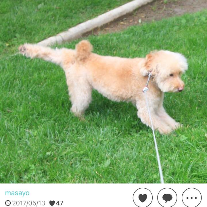 89fa88c6 f2c2 4d94 a3f2 dfe79da48b23 1684049914857