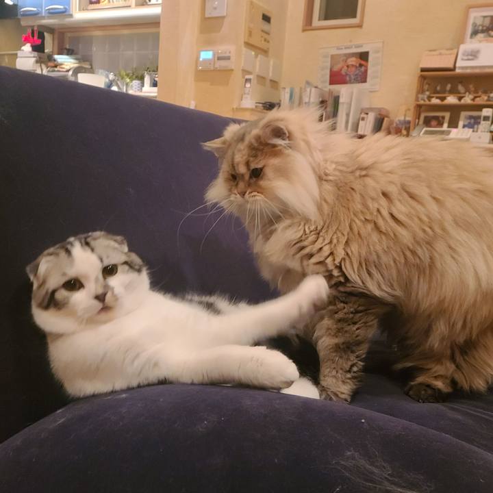 89faa3d5 2f5e 4b73 9f3e ec3f239db048 1640163424703