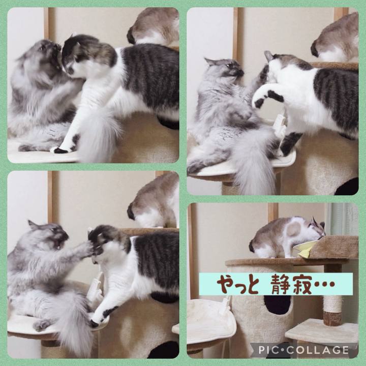 89fab2b9 1b8a 479b aee7 a9c163f47309 1720694307567