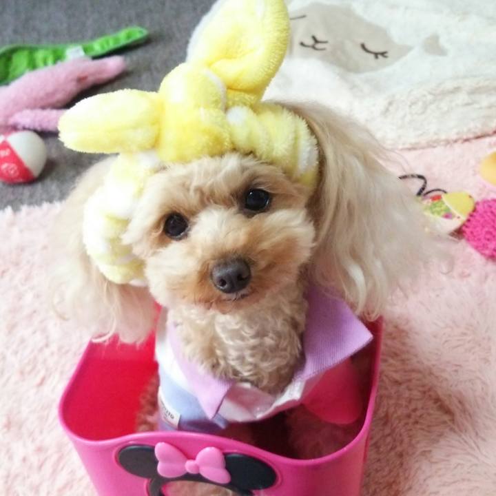 89fabac4 d916 44eb 8234 56f58e5e8a3a 1526039724666