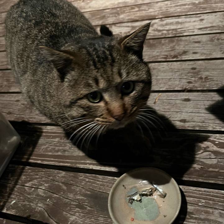 89fabb17 bd00 411f aecc c62017274b46 1774519702281