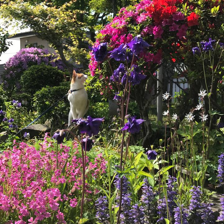 89faeb04 0e2c 4c6c a030 cc55c77c931d 1525997798048