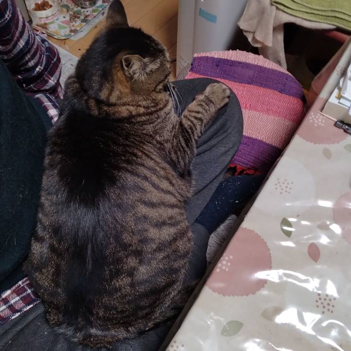 89faed3a 4396 4bd6 b7a5 27efa55b33cb 1679731097437