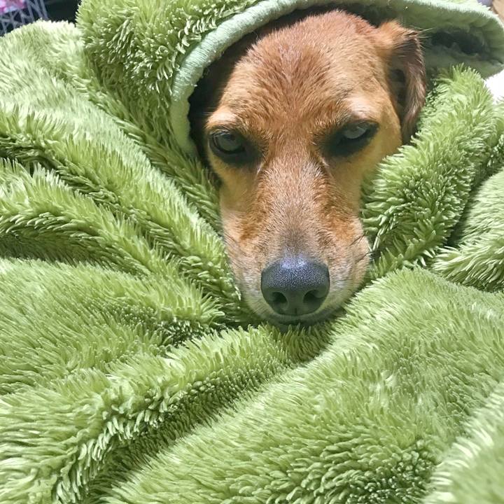 89fafa39 2dd3 4f0b a15e 159689b2df8e 1535849753856