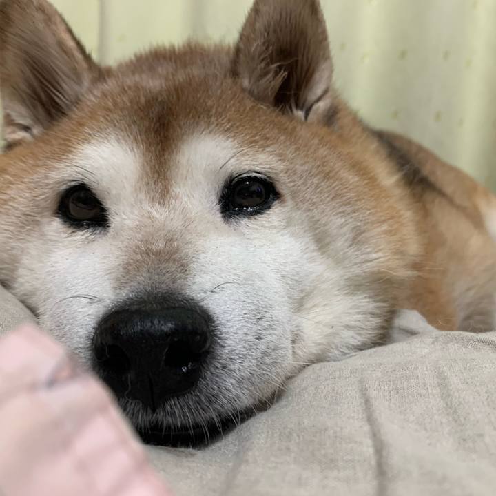 89fb2d6e 472a 47ce b9bc 8ca1791c188d 1598710493441