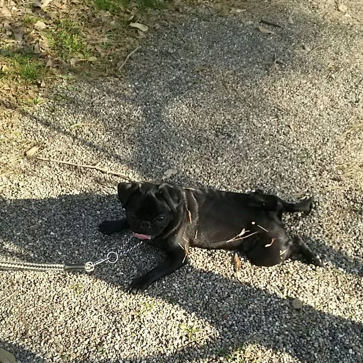 89fb3a03 9a03 40c8 9063 ad0940dff899 1522220483897