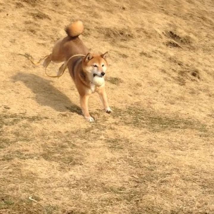 89fb703d 4a44 44fd a3ae f3c67b3e6006 1517457652846