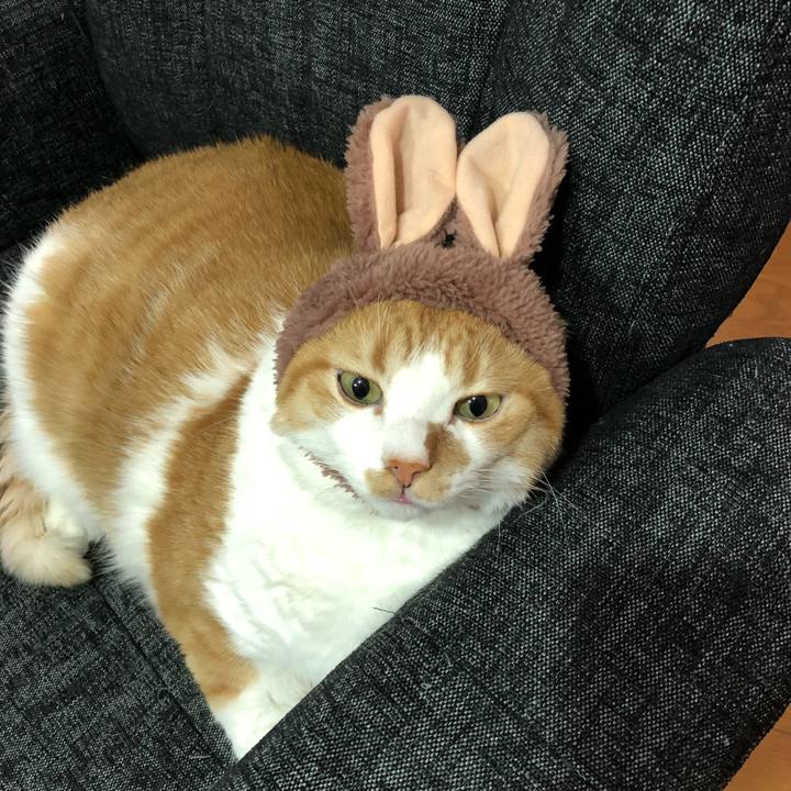 89fb82cc 72df 4d91 bc47 997b3a04145d 1518183870177