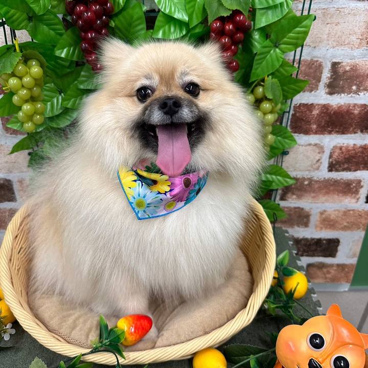 89fb8975 ae86 44bd 816f 3b0d3c0a750f 1694139082108