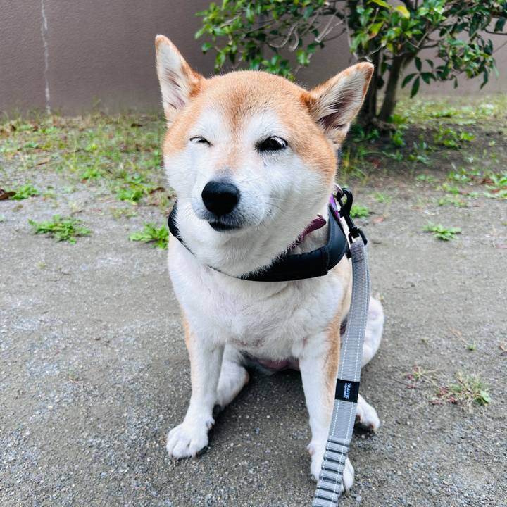 89fbaf3f 8f98 4c34 a21c 3ab389dce8ae 1728096313092