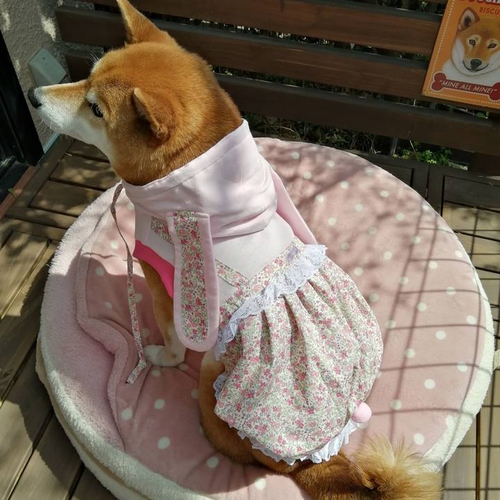 89fbbe3a 4dfd 4e2c 95f1 b039e5cead99 1648090296029