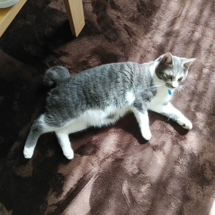 89fbbf7d 3100 473e bc5f 8b5157354a75 1581304224492