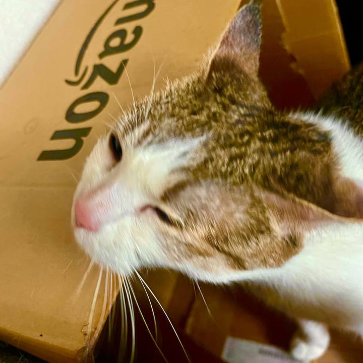 89fbd242 070d 4662 8875 ddb70aba5f08 1626243162100