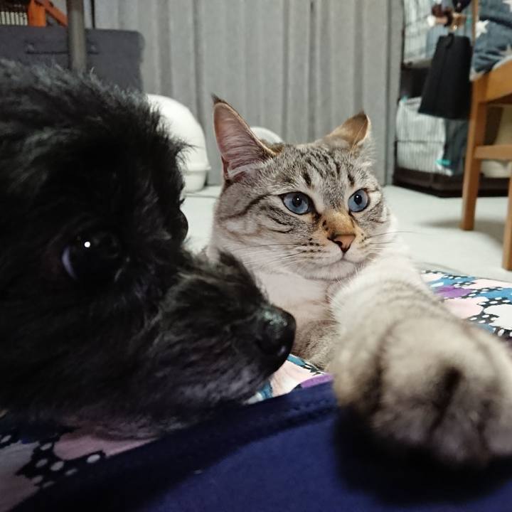 89fbdf62 0f50 47c0 b784 3424f140c33c 1556975433969