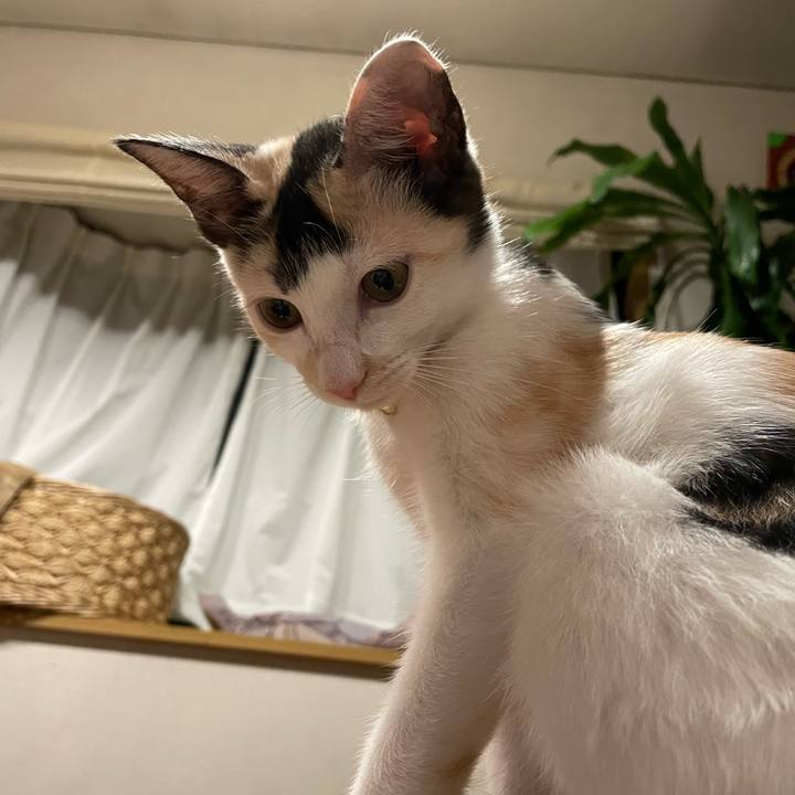 89fc79ff e2cd 416e bea2 dd64e06dedb2 1661437387334