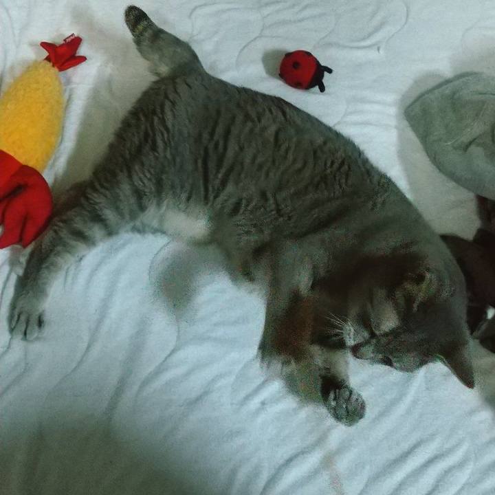 89fc8b8e 83c1 49fe a005 ca27eb9b0518 1683971653859