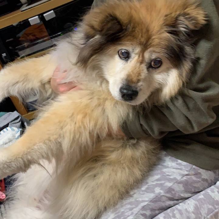 89fc92f7 f637 4cf4 8242 cf1f7418f153 1584958755548