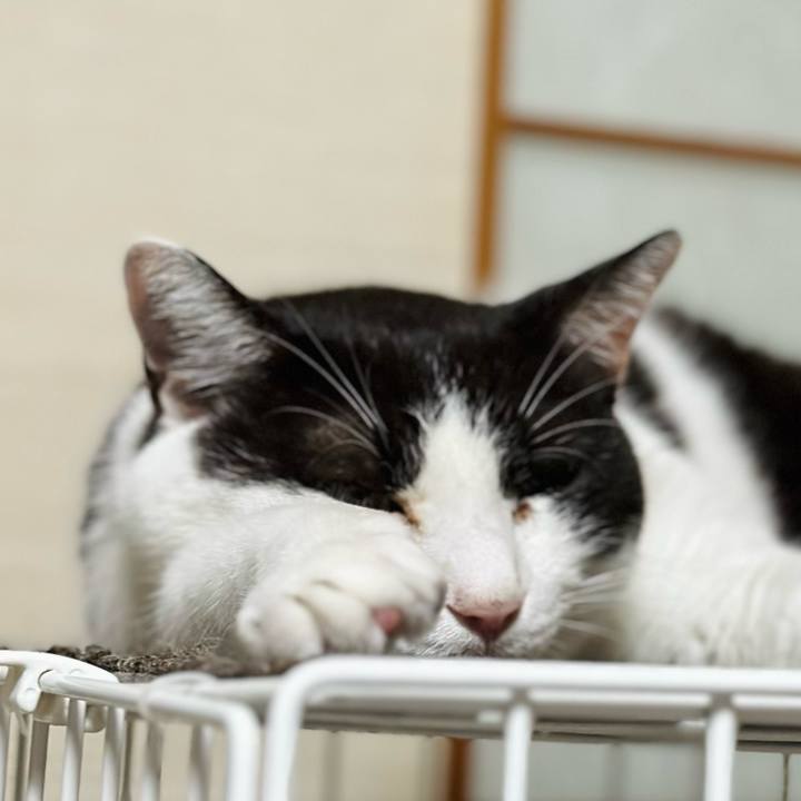 89fccff2 a1df 4843 8238 d11220fd31d1 1696038413921