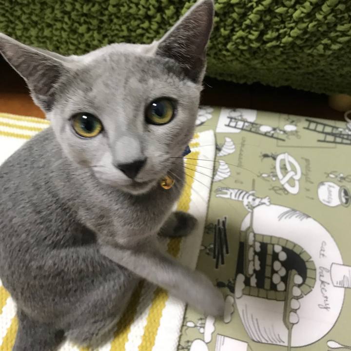 89fcd0a0 e94a 4bf0 91dc 7b61f829ab7b 1508671713325