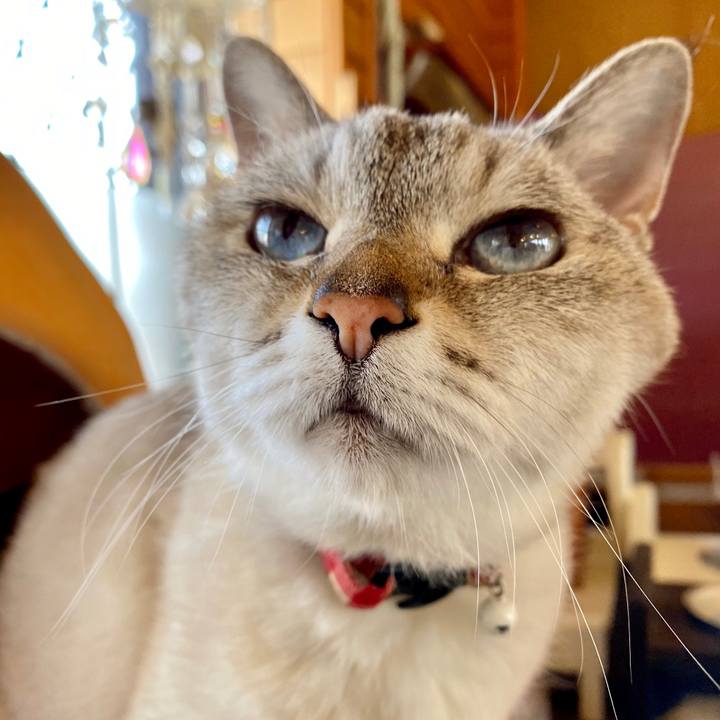 89fcd1e9 7438 4191 b97a 6f83a6b614eb 1592289309095