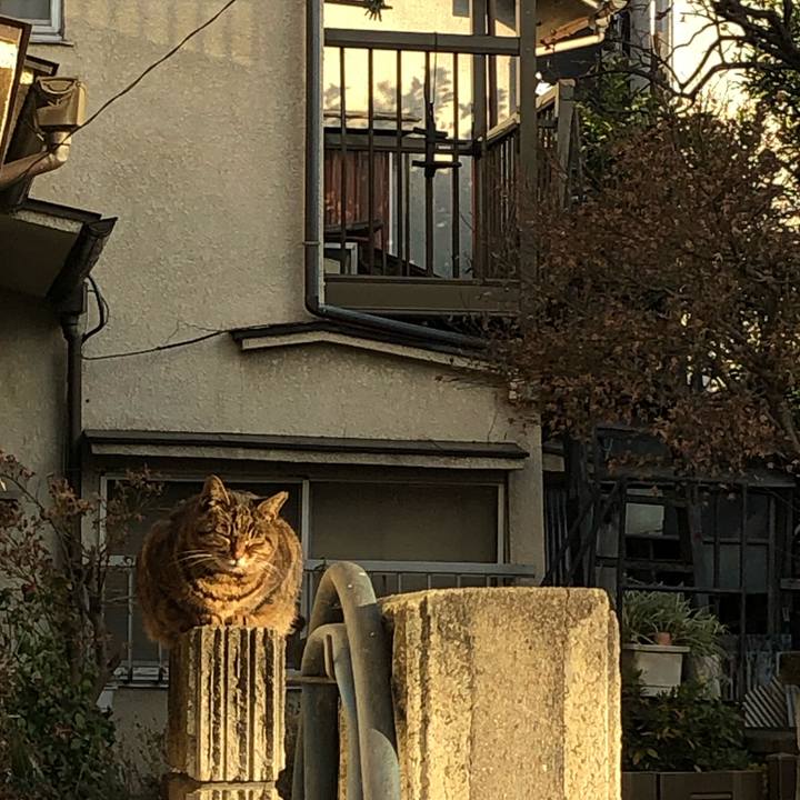 89fd052b ccd6 4f72 9fcc 99c6d206102c 1547194954991