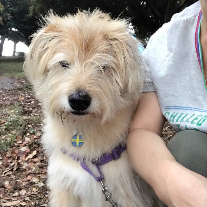 89fd128f aff5 4ef3 9d7d 3af1b4b575ea 1541470529871