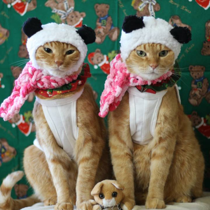 89fd21a6 8a1b 45b0 bdd4 eea277fce0c7 1513746775413