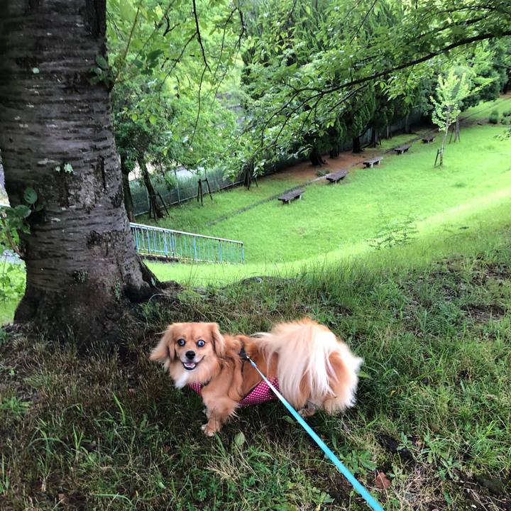 89fd6167 8ecd 49ba 83b0 ebbc9273d840 1530918255023