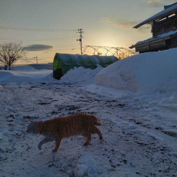 89fd6514 064b 423b 9c92 3a9840fa4b76 1676502960920