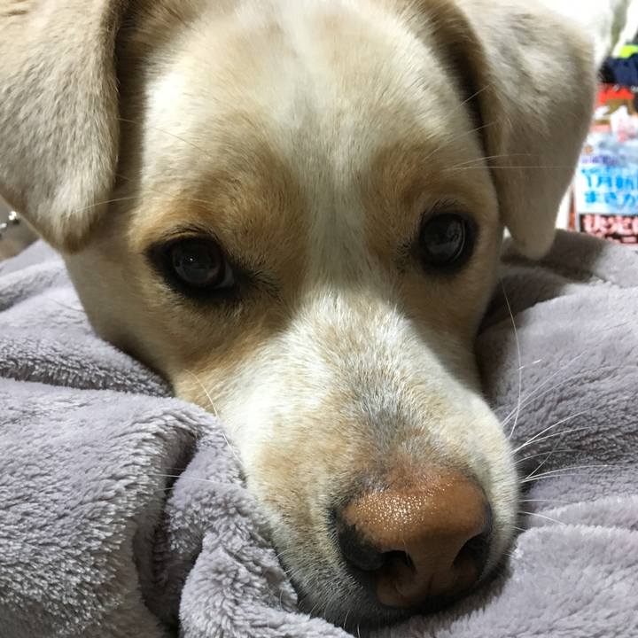 89fd6d9e b6c3 46b9 883e 407106267720 1516286659835