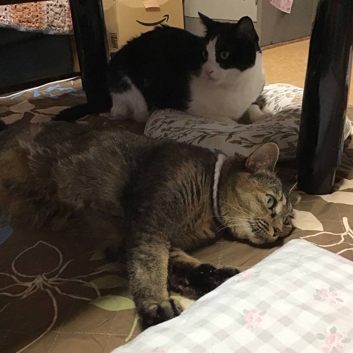 89fda2e1 255b 4121 abfa ece441018b5b 1727249629437