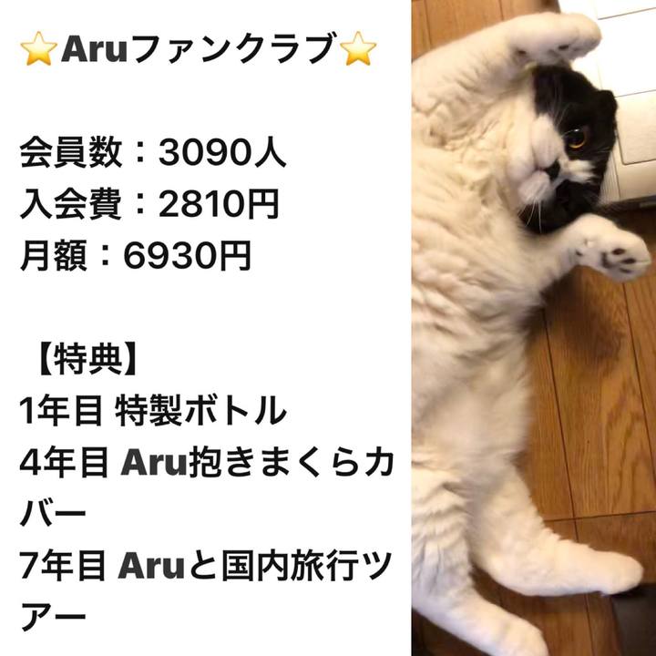 89fdbfe7 9e33 41fc 884c 4560055c61a6 1568374802551