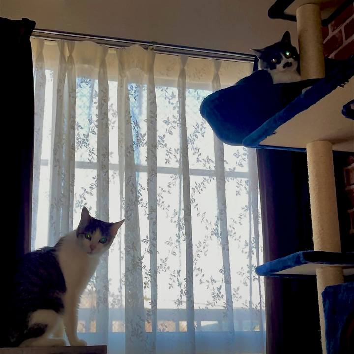 89fdc037 5c69 4d38 927e 92cdb8748605 1623930187366