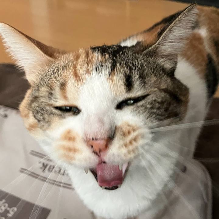 89fe654b d652 49e9 ab20 9d5f98f04403 1767955685570